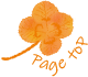 page_top_btn