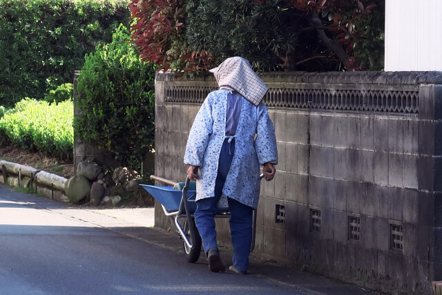 おばあちゃんの後ろ姿