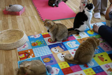 ふれあいタイム_写真