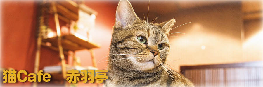 トップイメージ