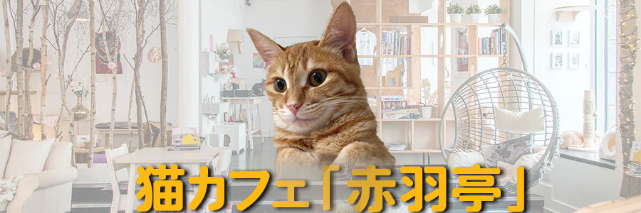 トップイメージ