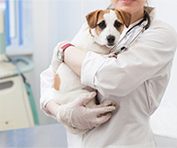 病院連携イメージ