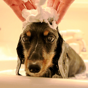 キャンペーンイメージ