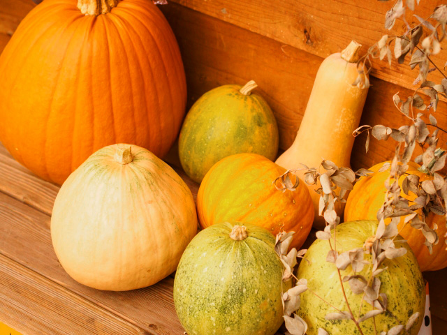 ハロウィンかぼちゃの写真01