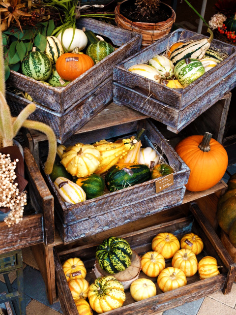 ハロウィンかぼちゃの写真02