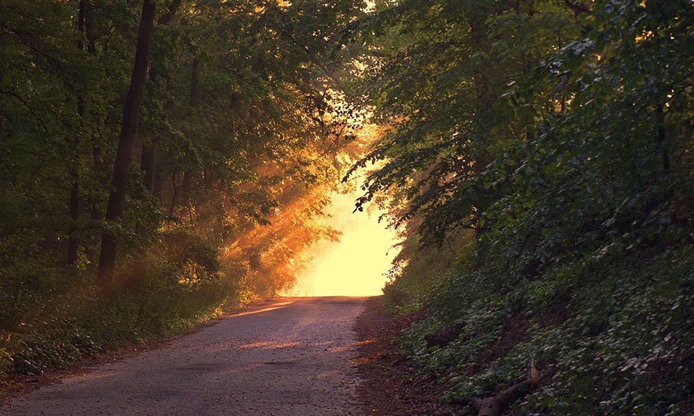 スライドショー2