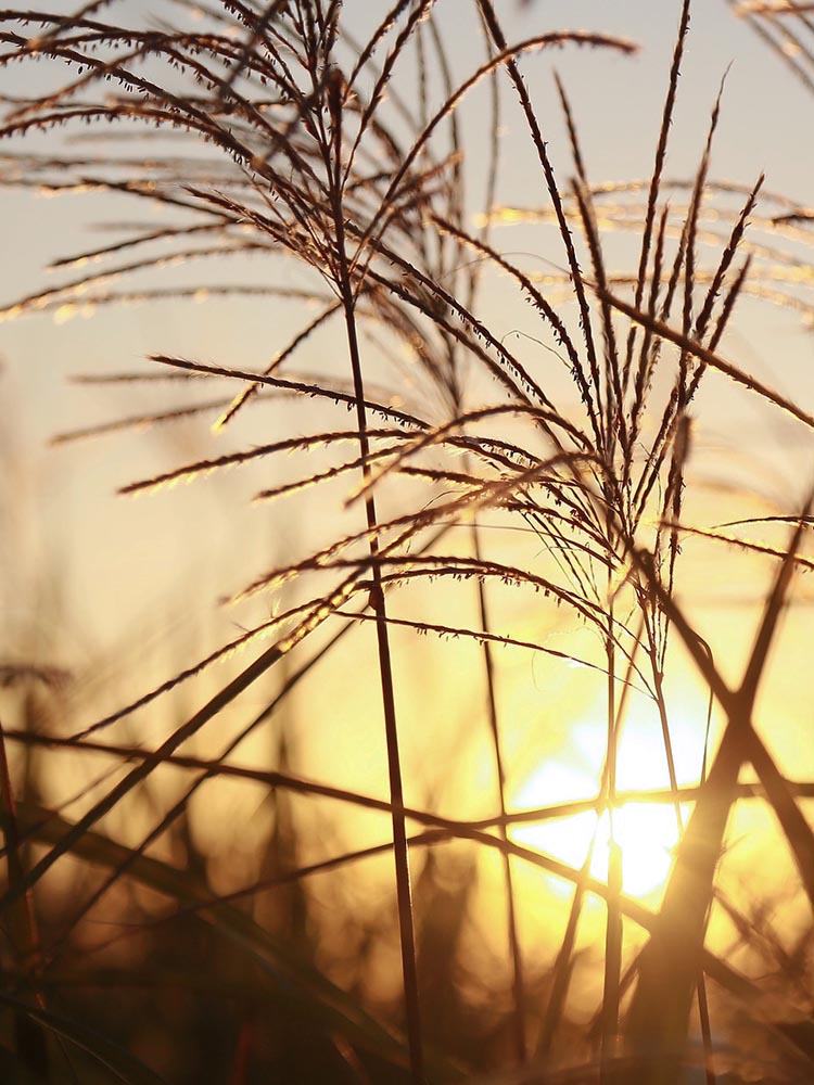 スライドショー4