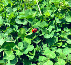 フォトグラファー YUZU