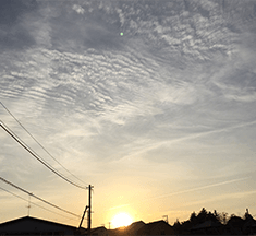 フォトグラファー aifa