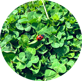 フォトグラファー YUZU