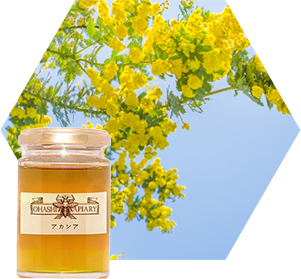 アカシア蜂蜜の写真