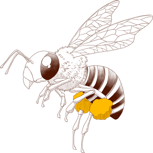 飛んでる蜂の絵