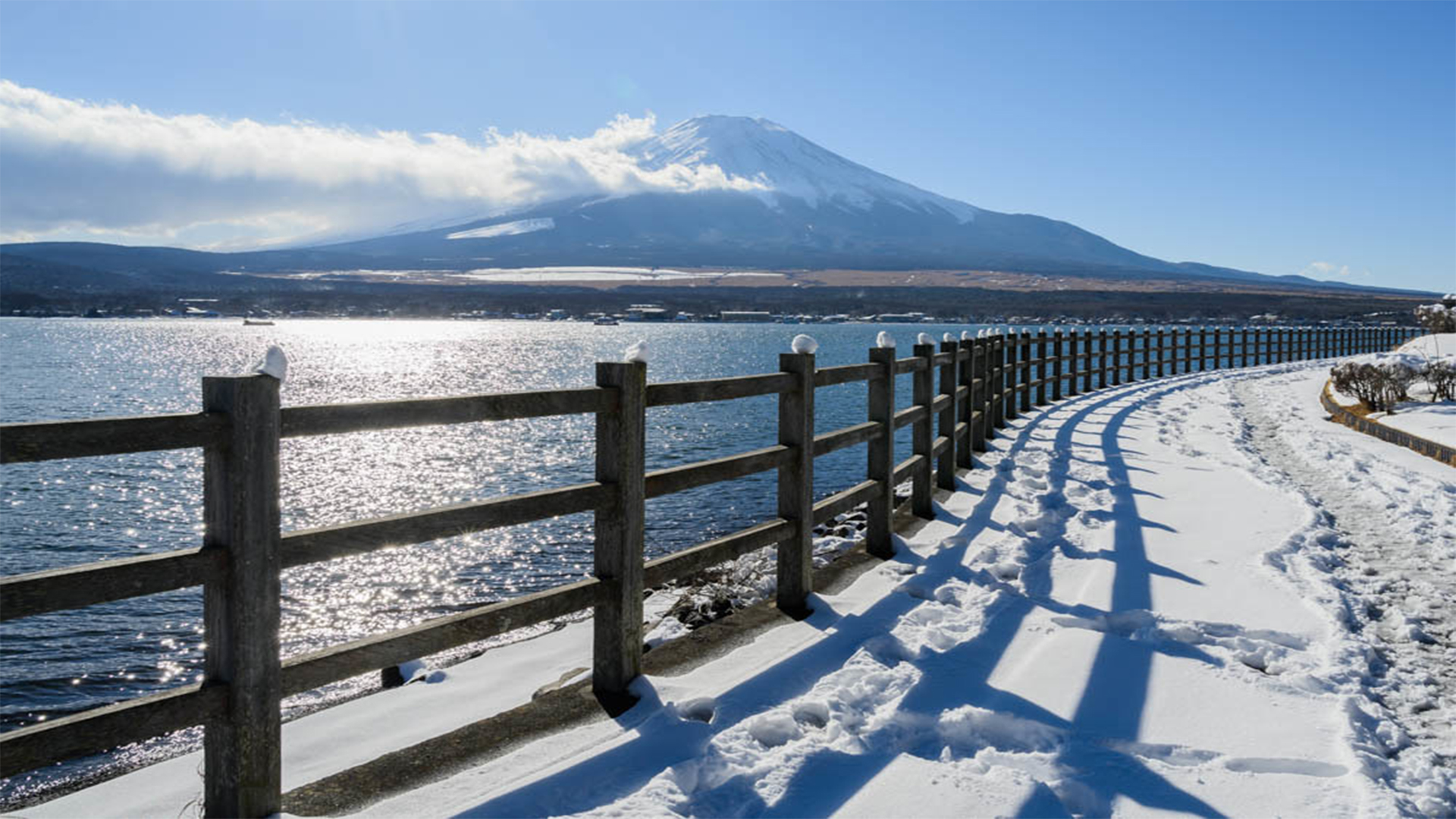 長池親水公園の写真