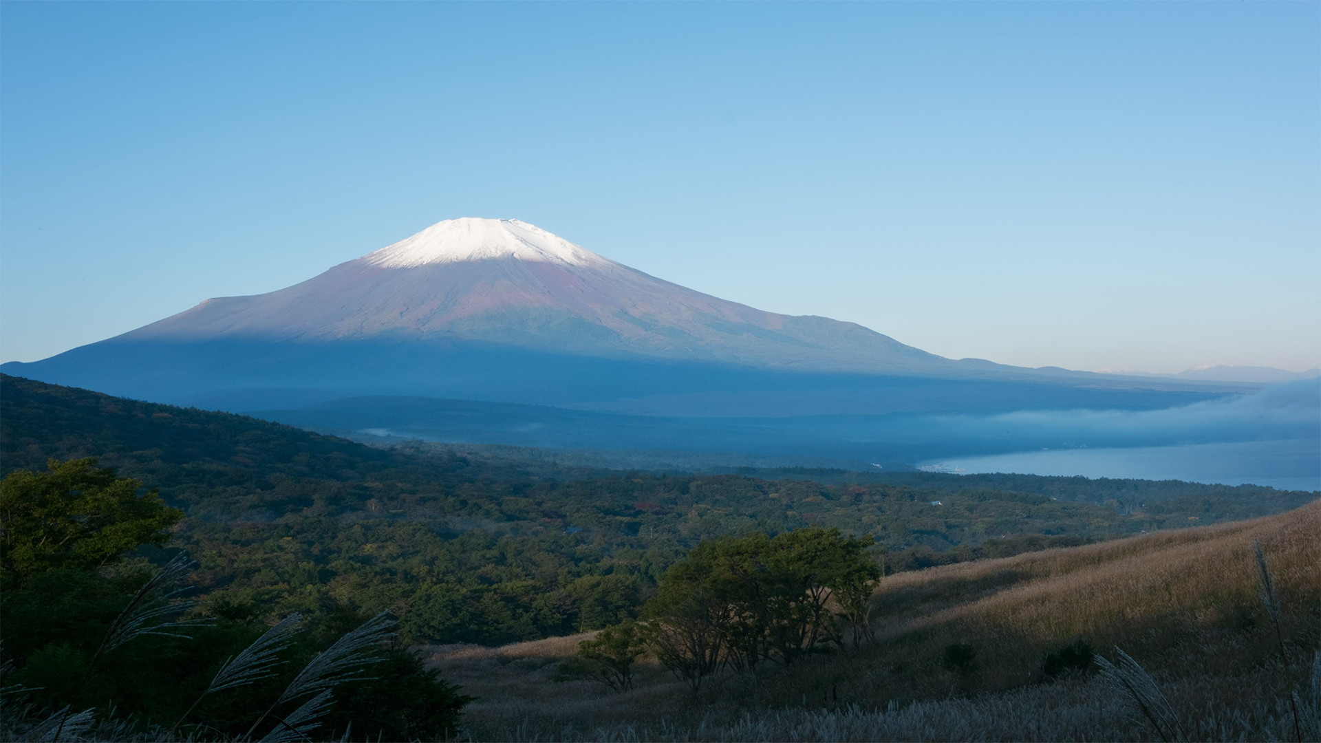 パノラマ台の写真