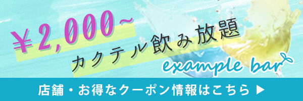 example bar（300×100バナー）