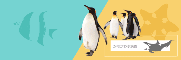 かもがわ水族館