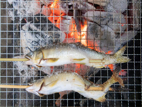 イワナの塩焼きの画像