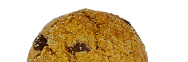 クッキー専門店 Koekjes Huis