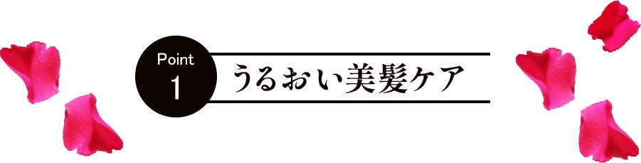 うるおい美髪ケア