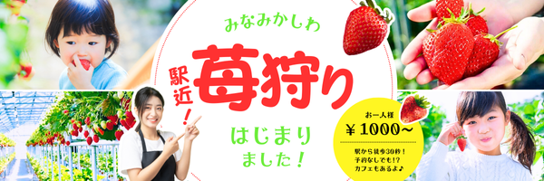 very　sweet　berry