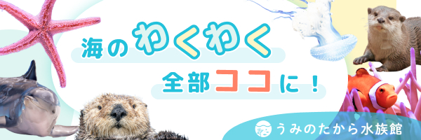 うみのたから水族館