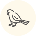 インコのアイコン