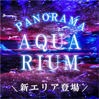 ナイトアクアリウムの画像