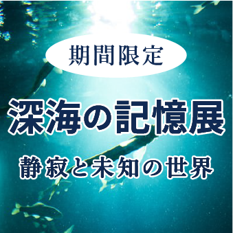 ナイトアクアリウムの画像