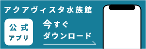 公式アプリのバナー