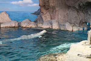 マリンコースのイメージ画像