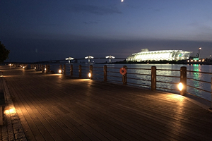 ナイトツアーのイメージ画像