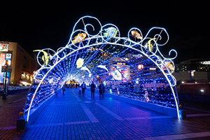 ナイトツアーのイメージ画像