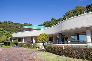 おひとり様コースのイメージ画像