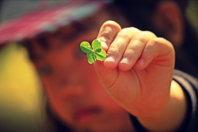 スライドショー画像