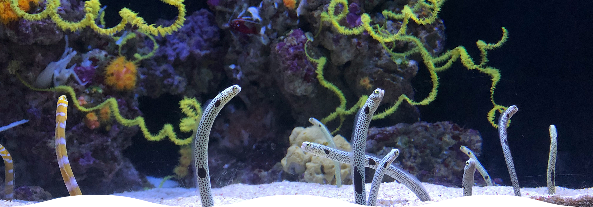 水族館イメージ写真