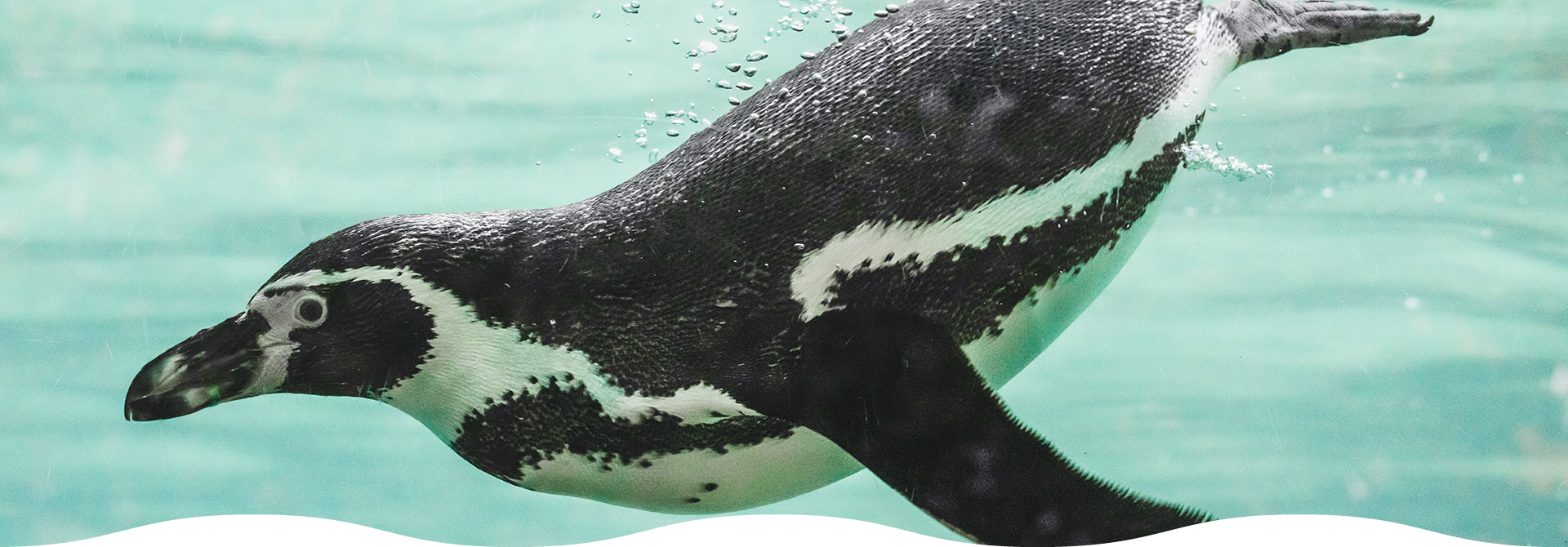 水族館イメージ写真