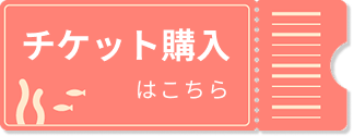チケット購入