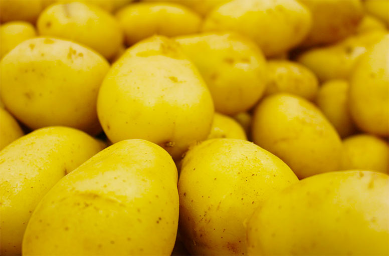 ポテトイメージ