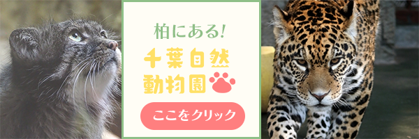 千葉自然動物園