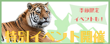 バナーイベント