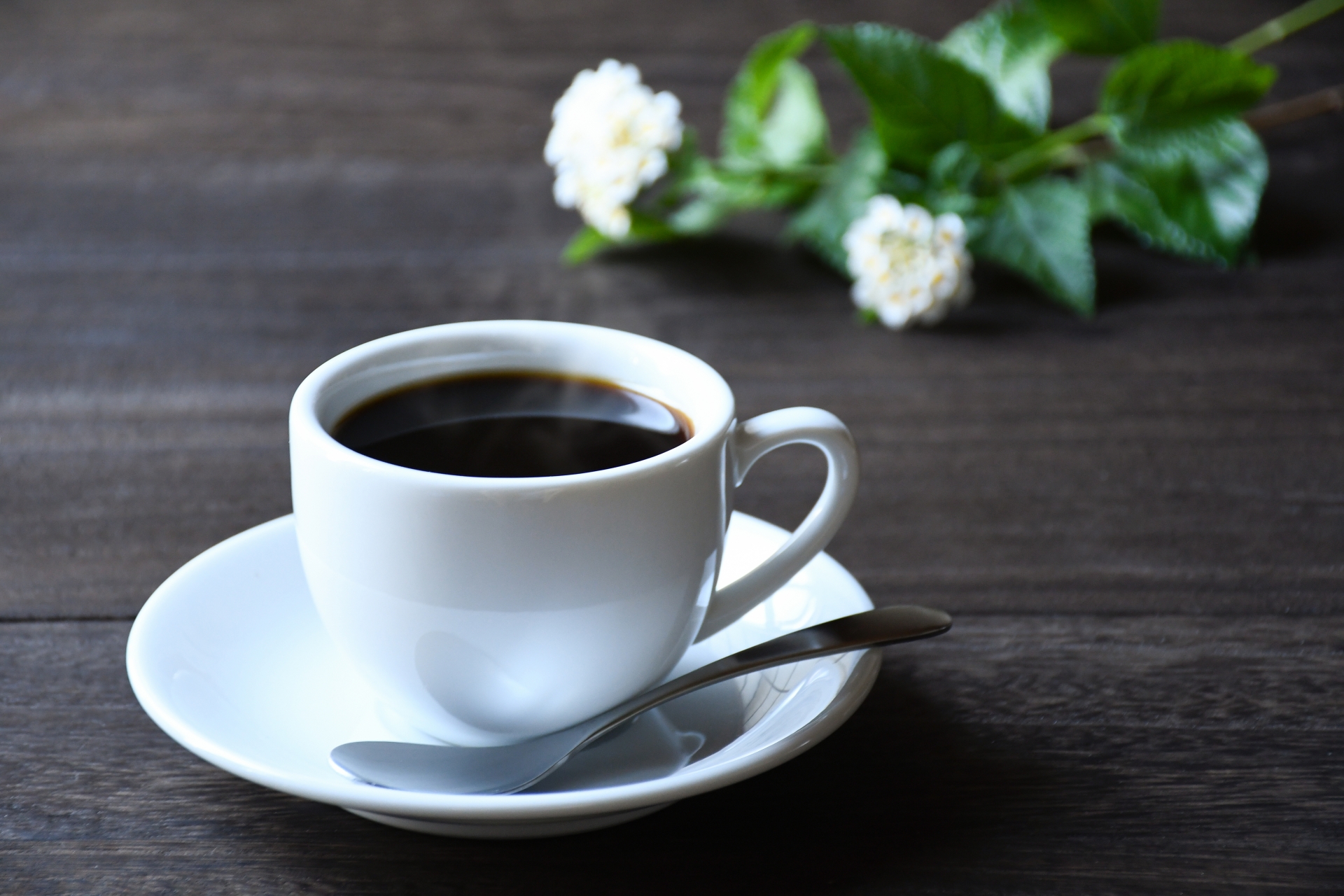 ホットコーヒー